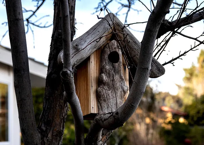 Secluded Designer Cottage - Sedona Wine Trail 3* Cottonwood
