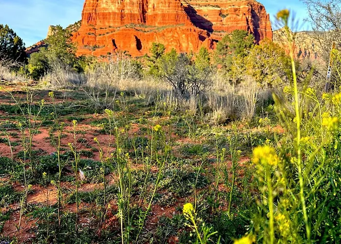 Secluded Designer Cottage - Sedona Wine Trail Pensión 3*