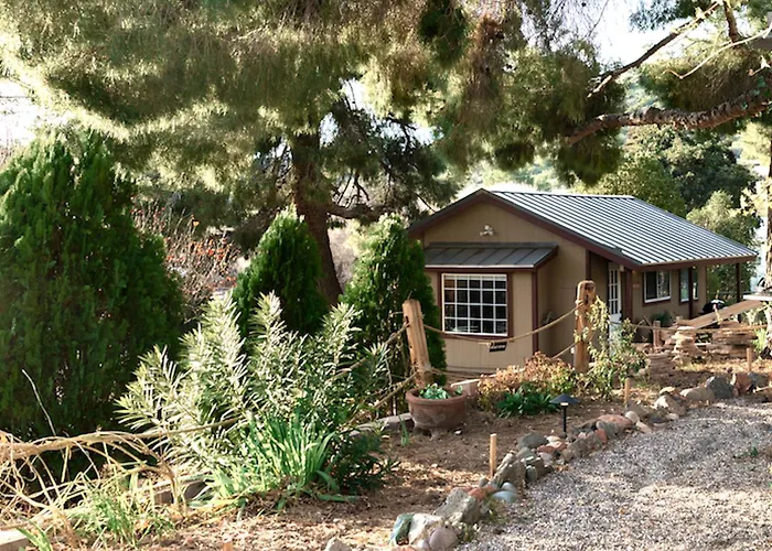 Affittacamere Dragonfly Cottage Private Standalone Garden Gem 3*